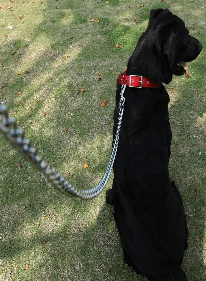 Petlicious & More® 3/4" Inch Thick Small Dog Collar with Dog Chain I Collar Size 10-18 Inch I Chain No. 10 Length 5 ft - Pack of Black Collar with Dog Chain - Image 5
